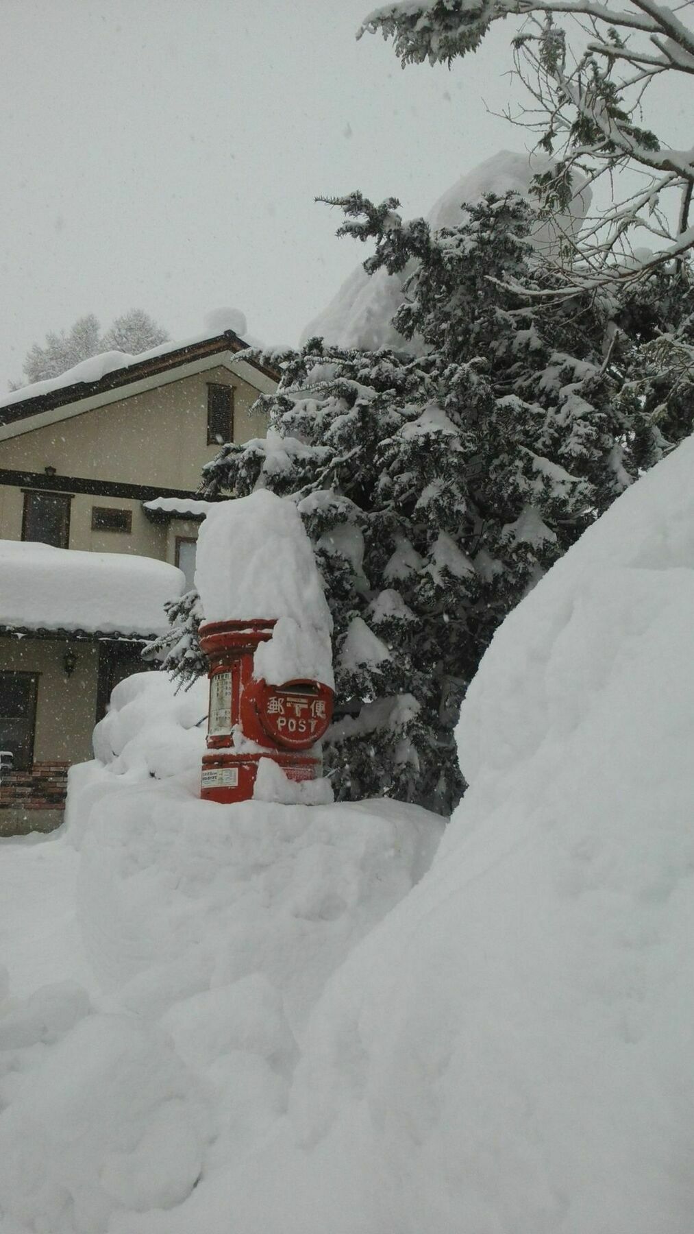 Sakka Sanso Villa Hakuba Buitenkant foto